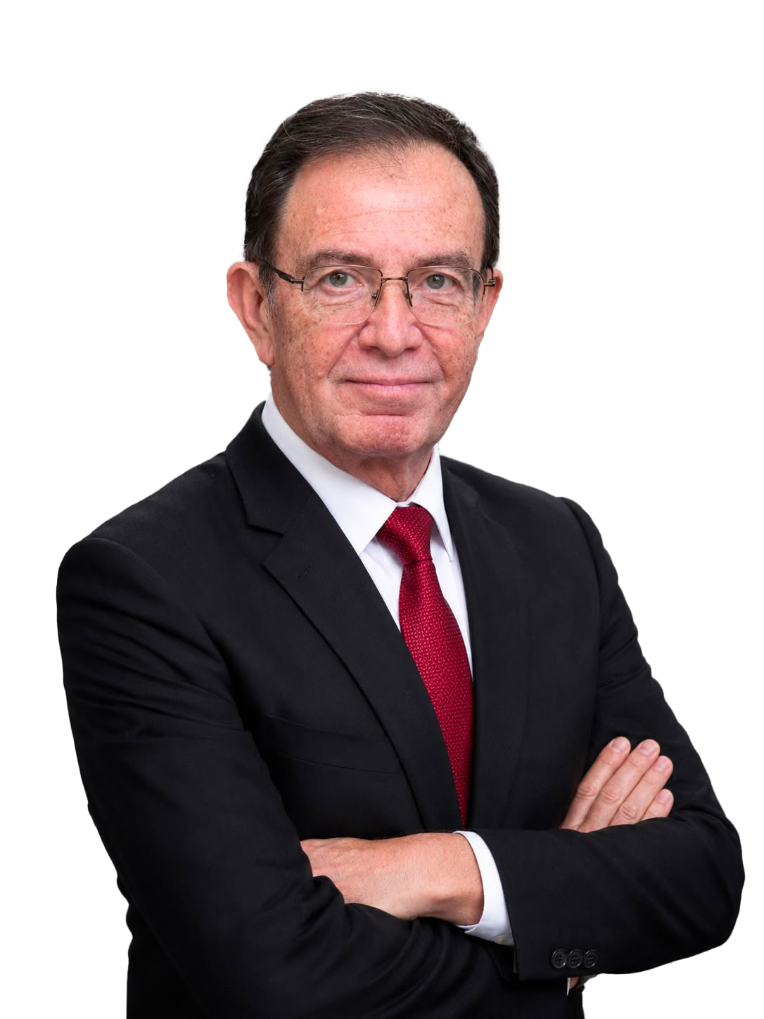 Portrait of Prof. Mohamed Abdelghany