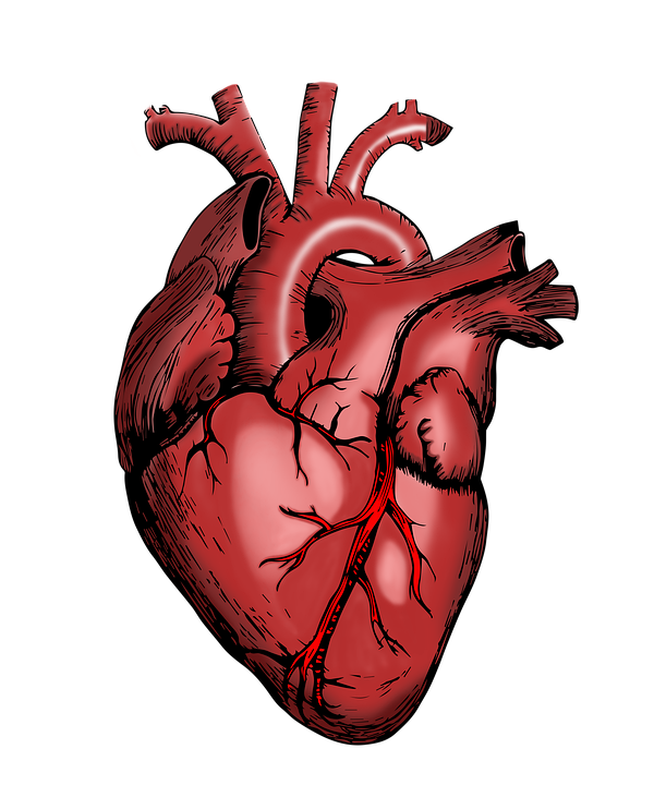 Heart Failure Conference 2026