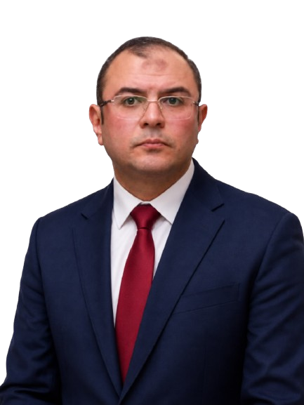 Portrait of Prof. Ahmed Magdy Mostafa
